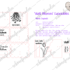 Webseite Statt Blumen - Laserdatei